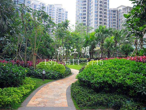 實(shí)景案例