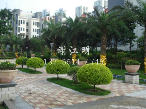 實(shí)景案例