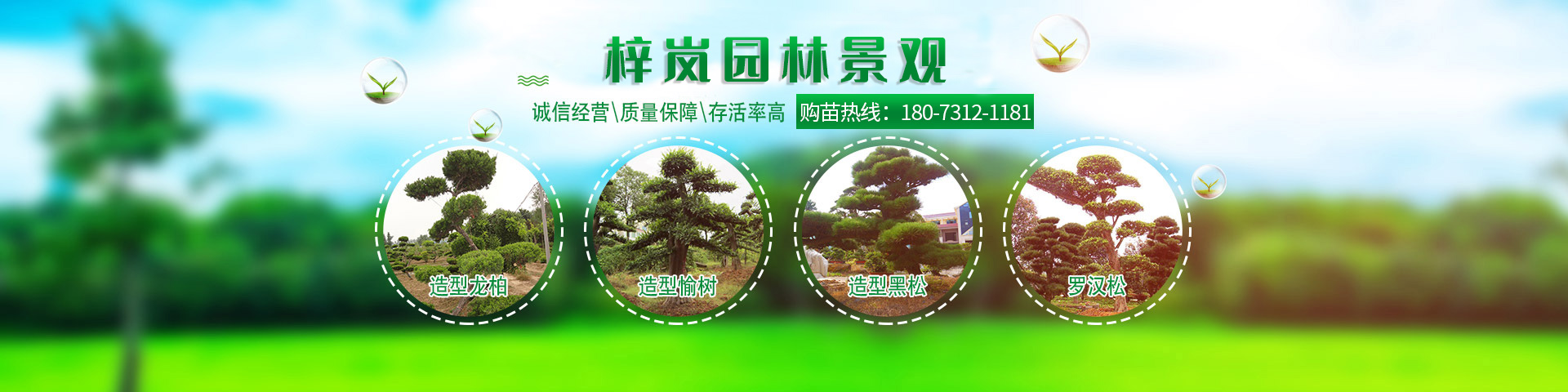 湖南梓嵐園林景觀有限責(zé)任公司_湖南苗木銷售|造型苗木|喬灌木類|精品小苗